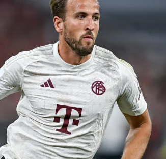 克鲁伊维特 克鲁伊维特